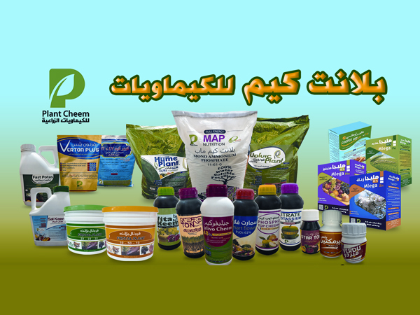  شركات الاسمة والكيماويات : شركة بلانت كيم للكيماويات