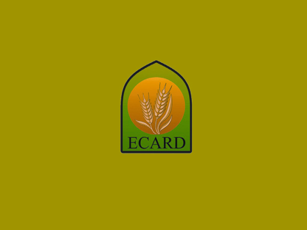  شركات الميكنة الزراعية : الشركة المصرية للتنمية الزراعية والريفية