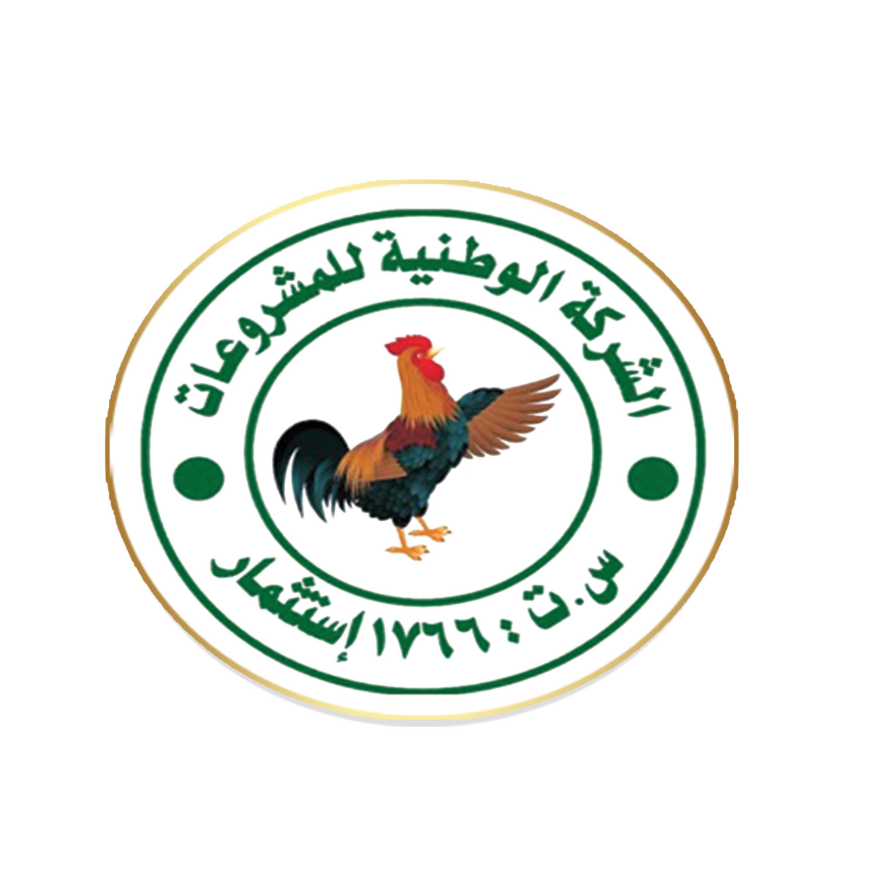 الشركة الوطنية للمشروعات 