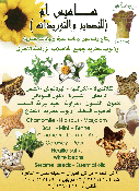 هاميس ام للتصدير والتوريدات