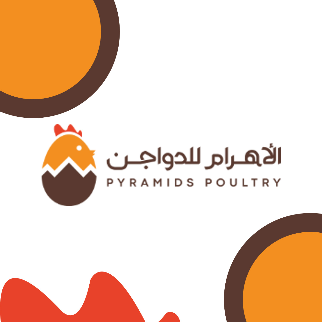 الاهرام للدواجن Pyramid Poultry