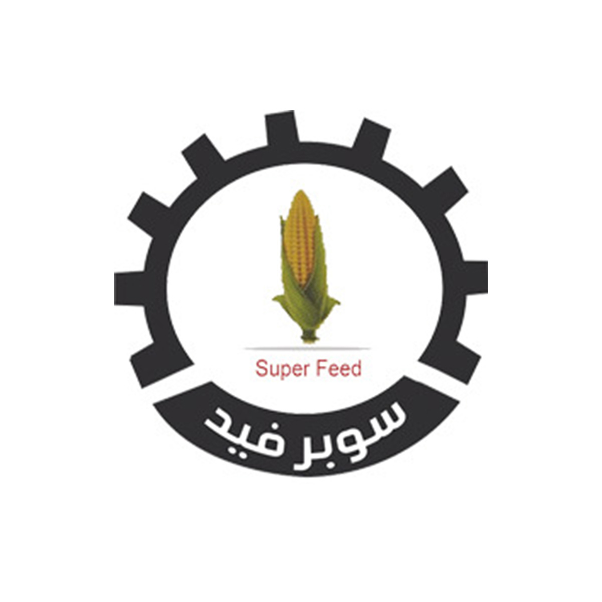 الشركة المصرية لصناعة الاعلاف