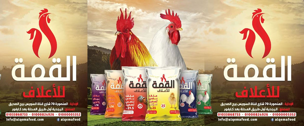  مصانع الاعلاف : مصنع اعلاف القمة 