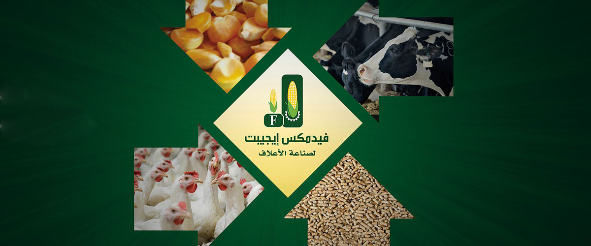  مصانع الاعلاف : مصنع فيدمكس ايجيبت لصناعة الاعلاف 