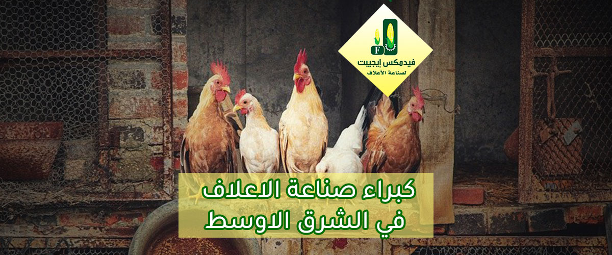  مصانع الاعلاف : مصنع فيدمكس ايجيبت لصناعة الاعلاف 