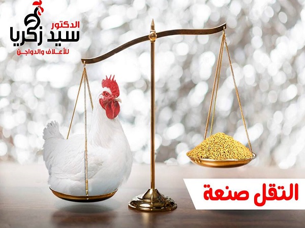  مصانع الاعلاف : مصنع سيد زكريا للاعلاف