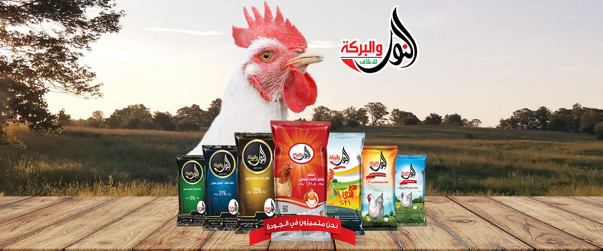 النور والبركة