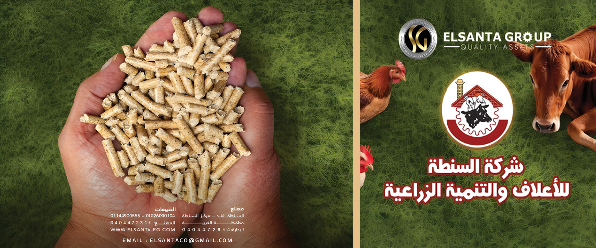 مصانع الاعلاف : مصنع السنطة للاعلاف 