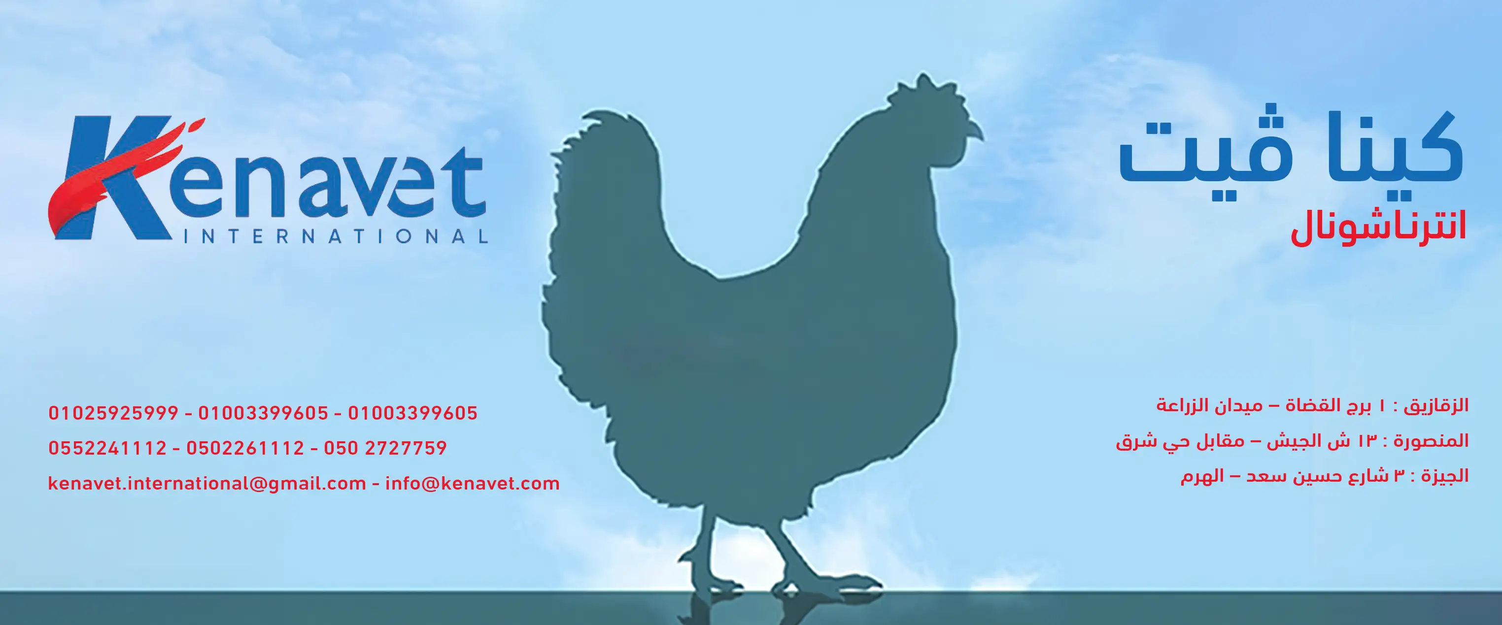 كينا فيت انترناشيونال