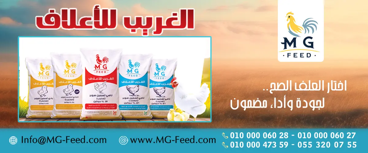 MG FEED الغريب للاعلاف 