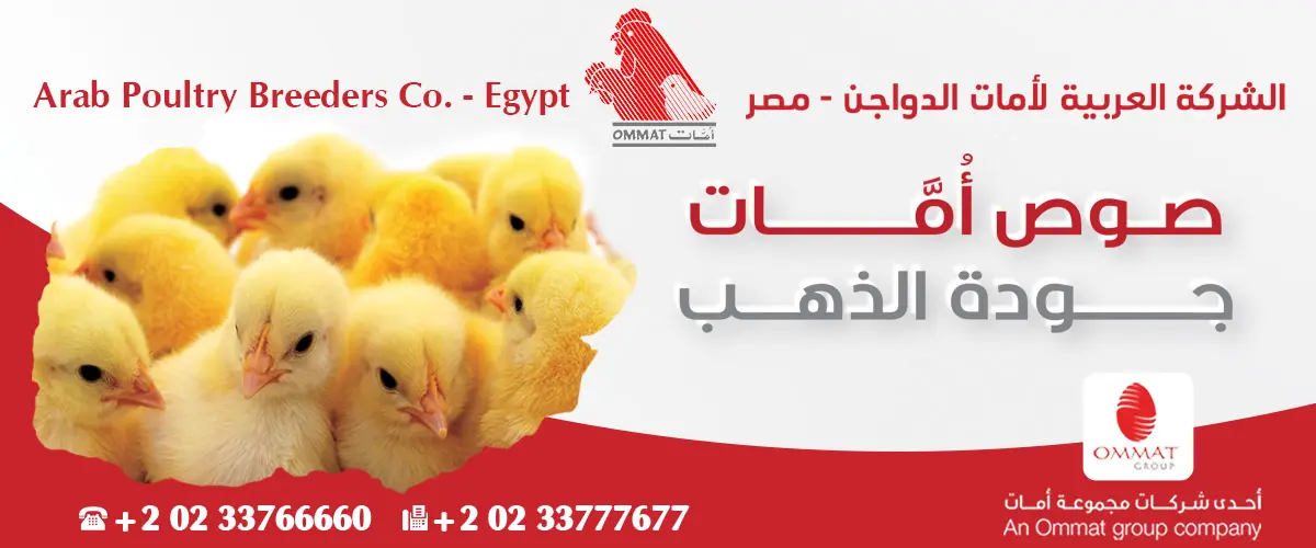 الشركة العربية لأمات الدواجن