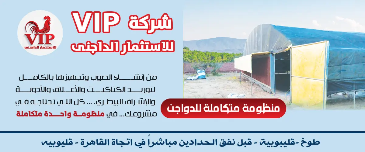 VIP للاستثمار الداجني