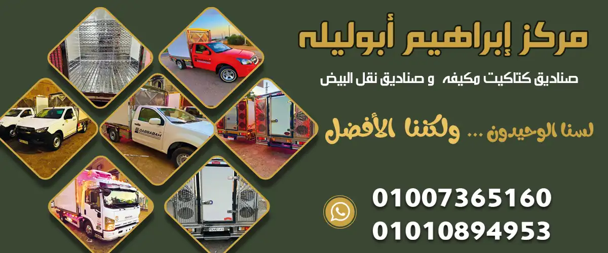 شركة ابو ليلة 