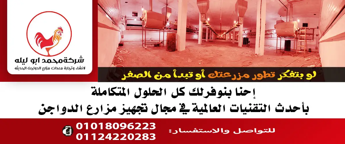 شركة ابو ليلة 