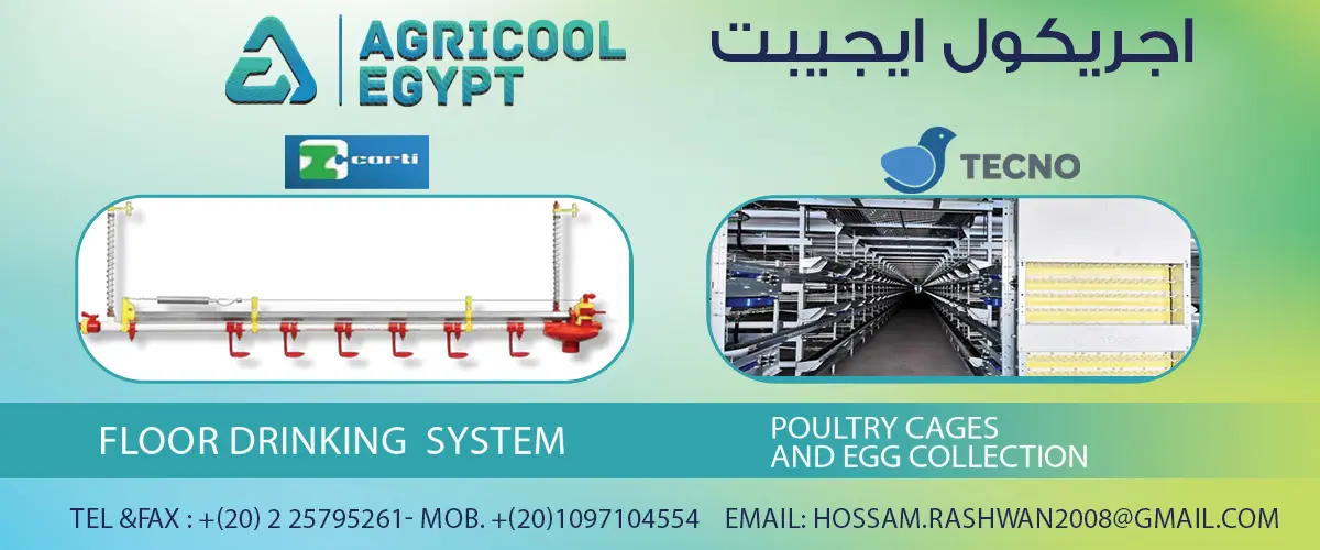 اجريكول ايجيبت