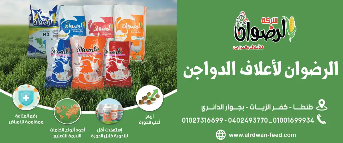 شركة الرضوان للاعلاف والدواجن
