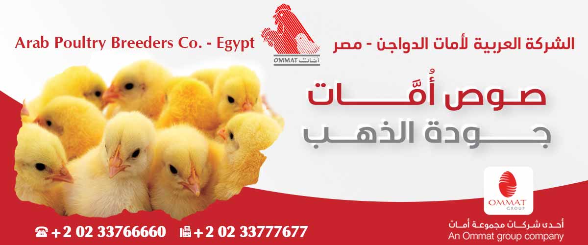 الشركة العربية لأمات الدواجن