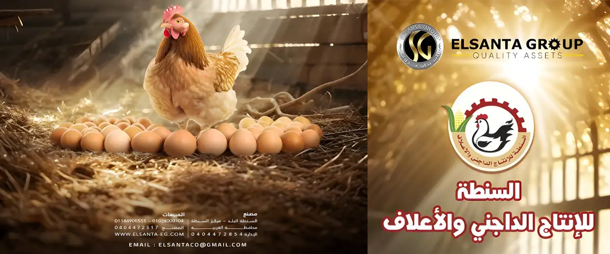 مجموعة شركات السنطة للثروه الحيوانيه و الداجنه.