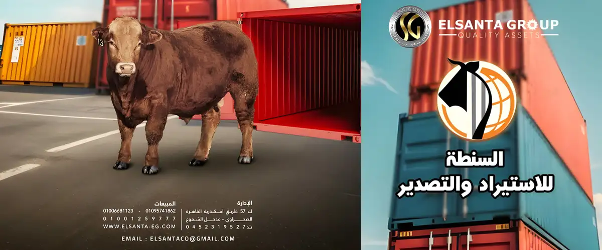 مجموعة شركات السنطة للثروه الحيوانيه و الداجنه.