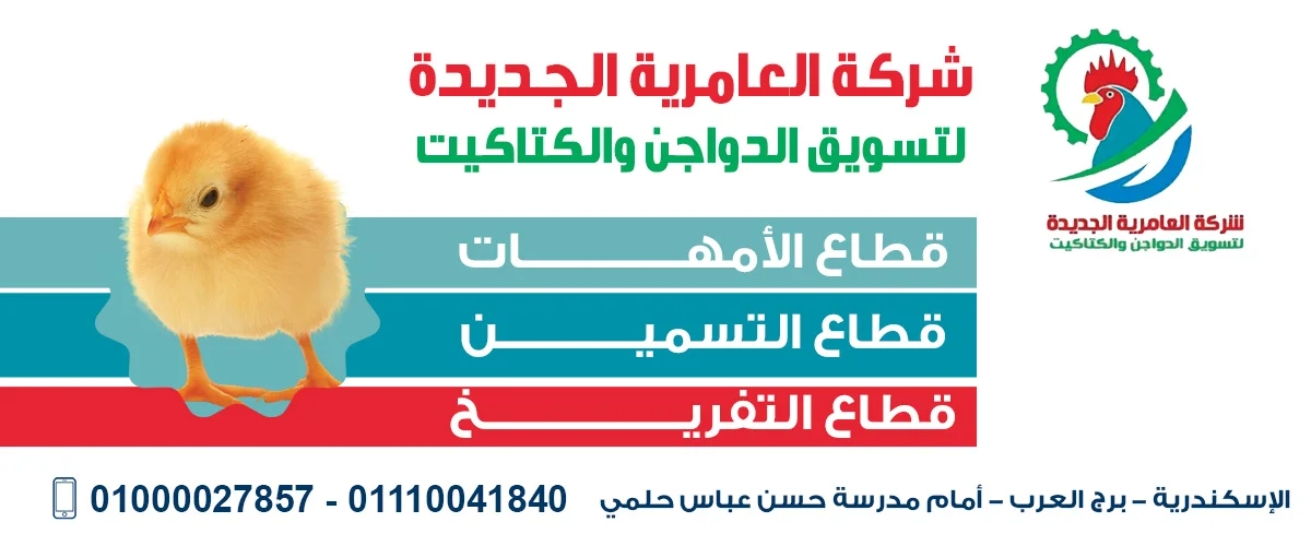 شركة العامرية الجديدة 