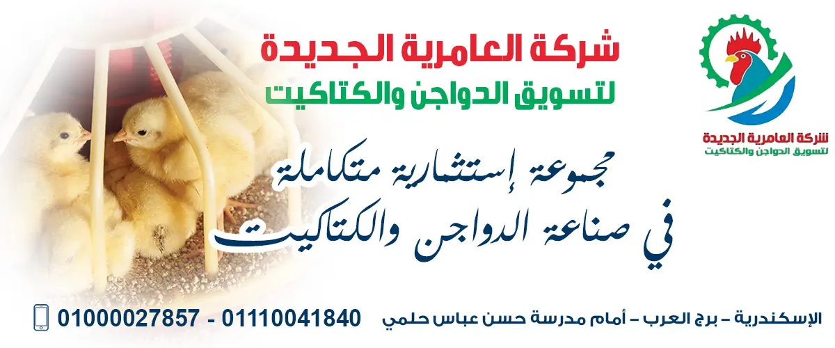 شركة العامرية الجديدة 