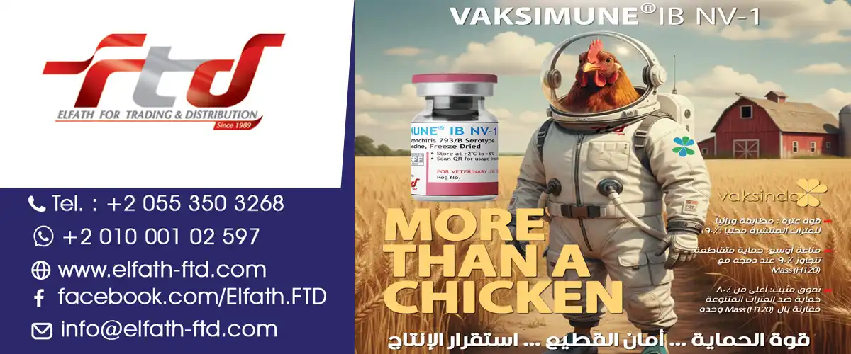 "الفتح للتجارة والتوزيع (FTD)"