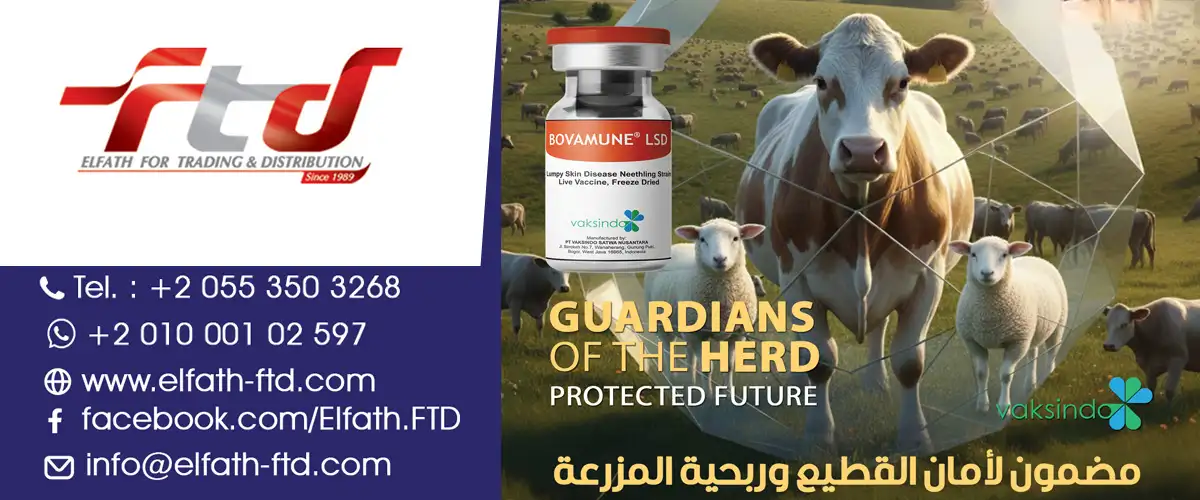 "الفتح للتجارة والتوزيع (FTD)"