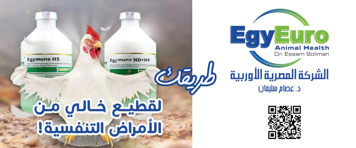 الشركة المصرية الاوروبية