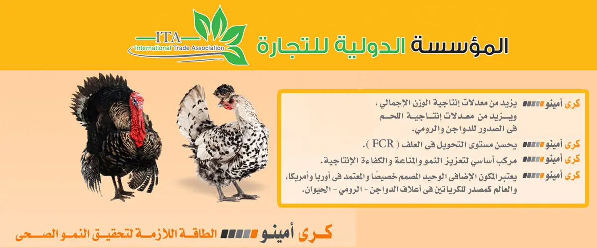 المؤسسة الدولية للتجارة