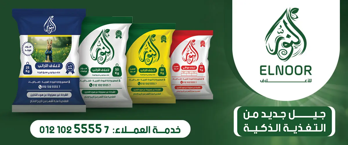 شركة النور للاعلاف