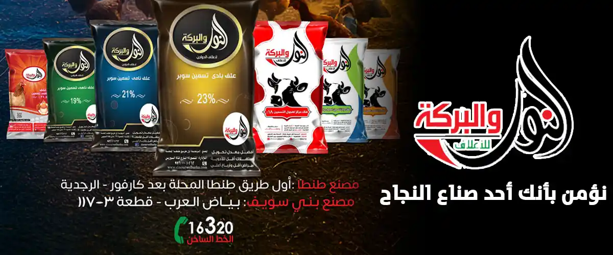 النور والبركة