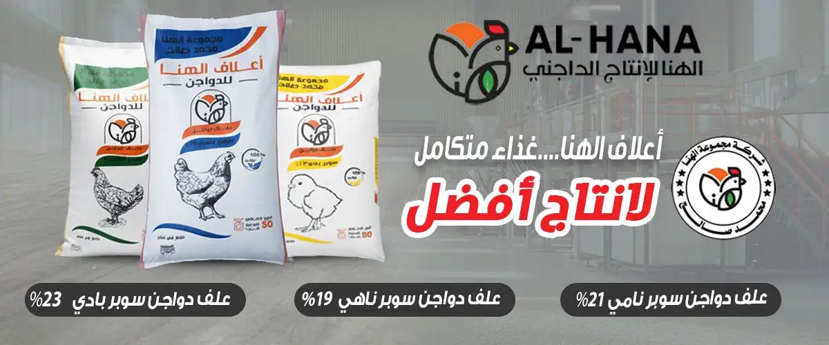شركة الهنا 