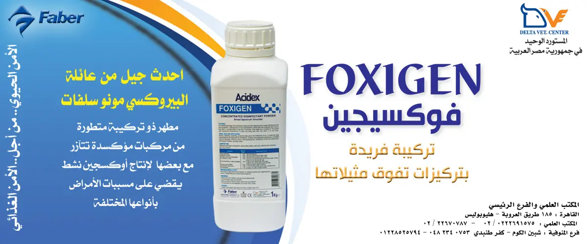  شركة دلتا فيت سنتر