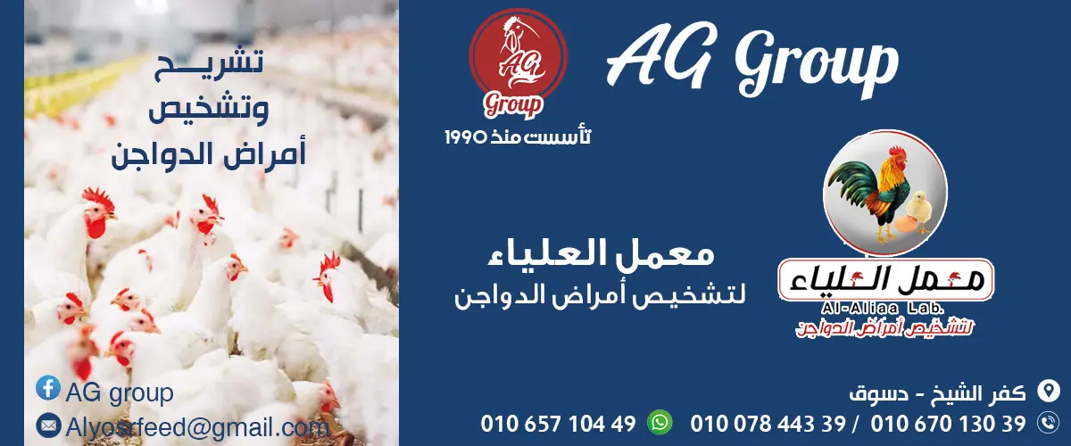 ايه جى جروب