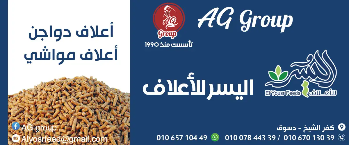 ايه جى جروب