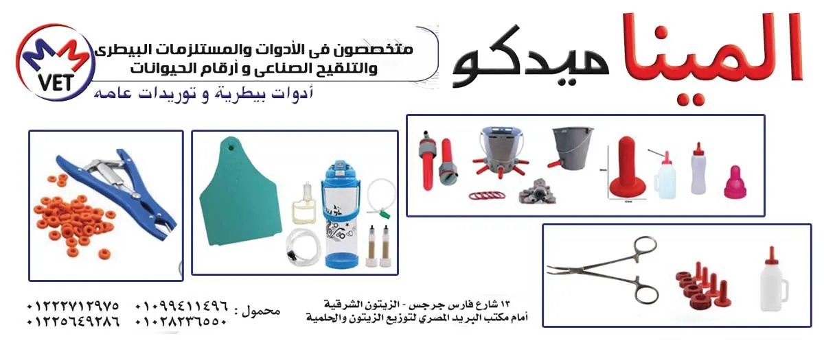 المينا ميدكو