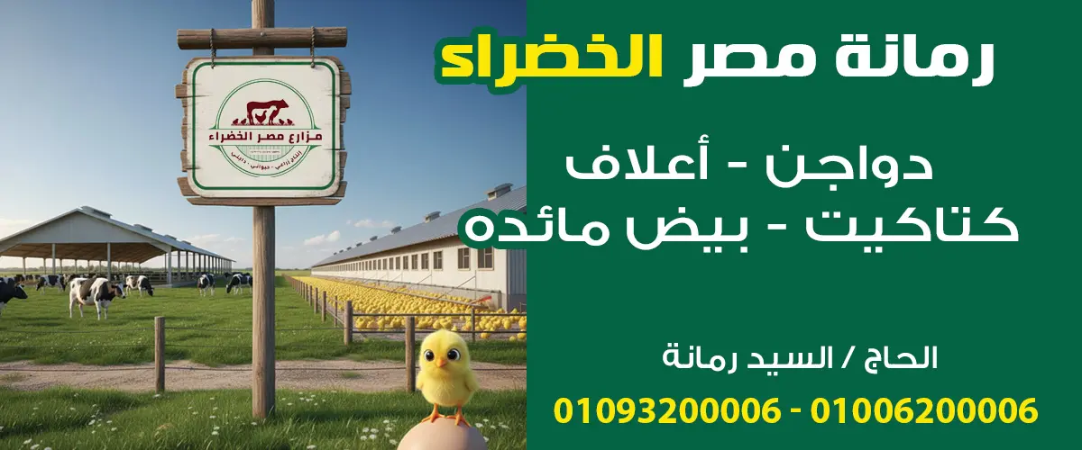 رمانة مصر الخضراء