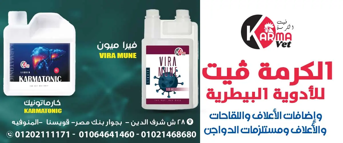 شركة الكرمة فيت