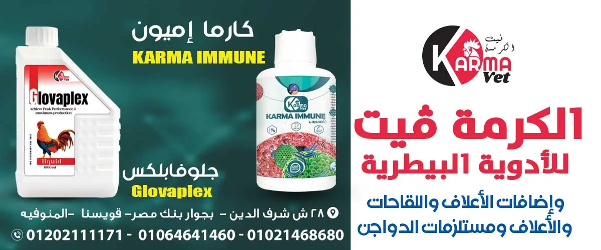 شركة الكرمة فيت