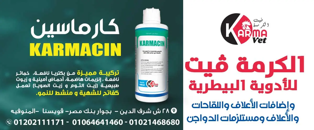 شركة الكرمة فيت