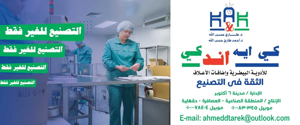 شركة كى ايه اند كى 