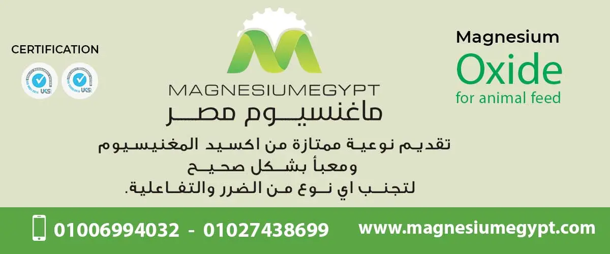 ماغنسيوم مصر