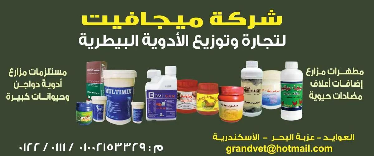 شركة ميجا فيت 