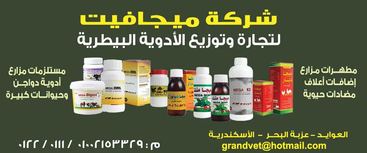 شركة ميجا فيت 