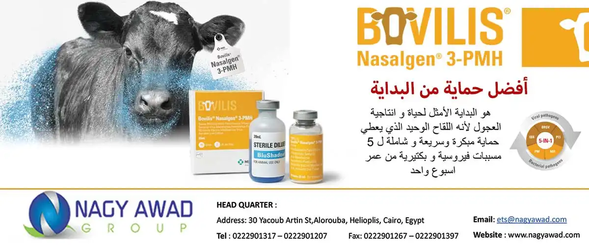 ناجى عوض 