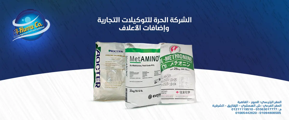 الشركة الحرة 