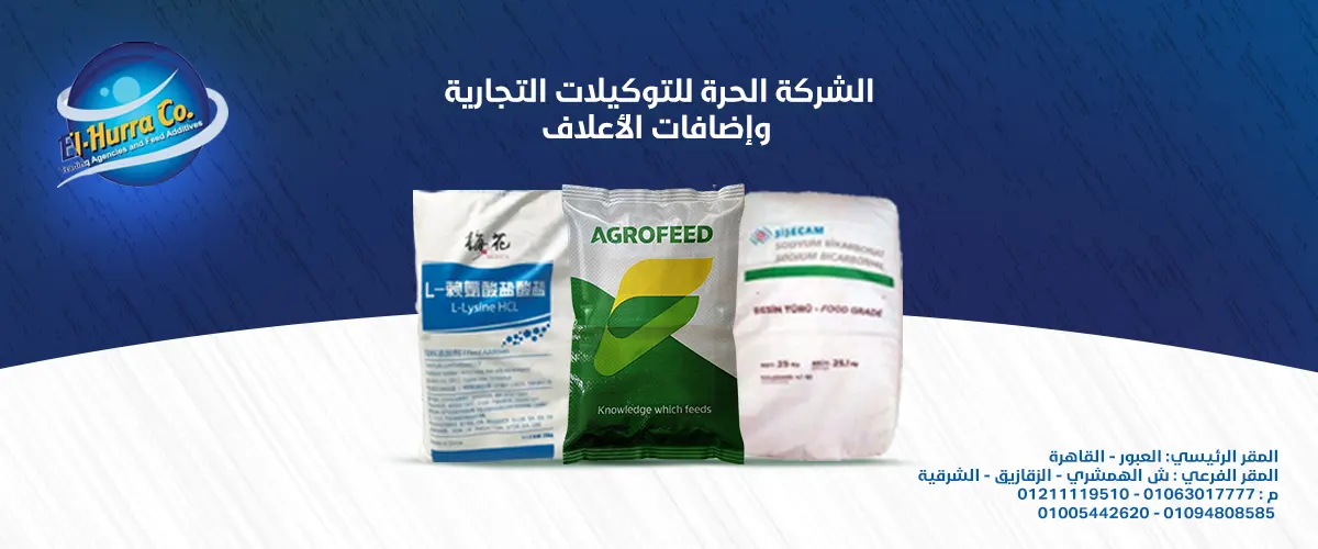 الشركة الحرة 