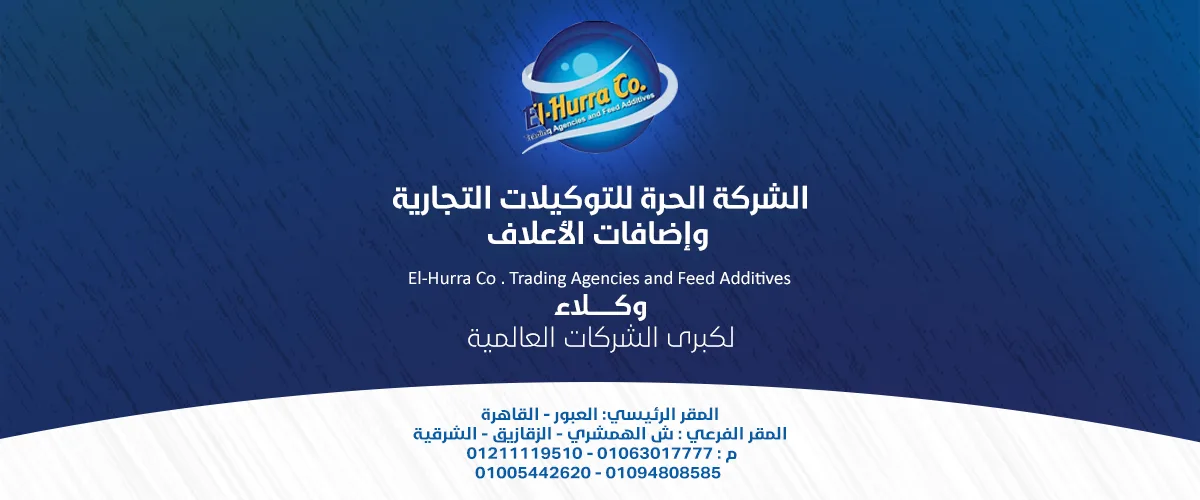 الشركة الحرة 