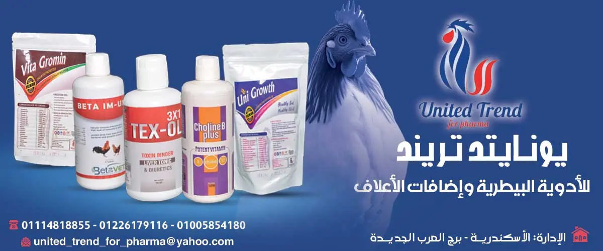 يونايتد تريند