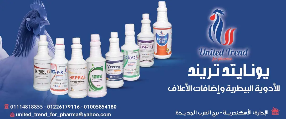 يونايتد تريند